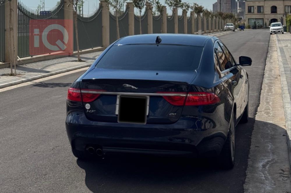 جاگوار XF